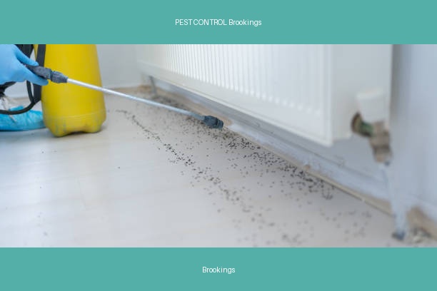PEST CONTROL Brookings